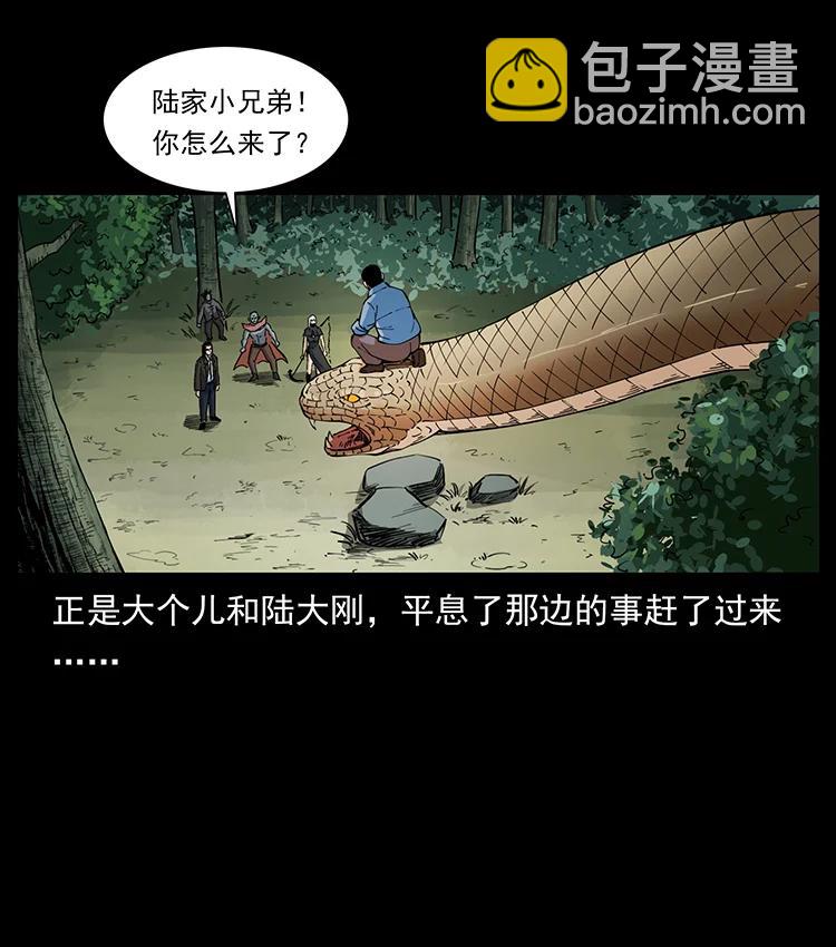 🍜幽冥诡匠 391 散仙 第11页