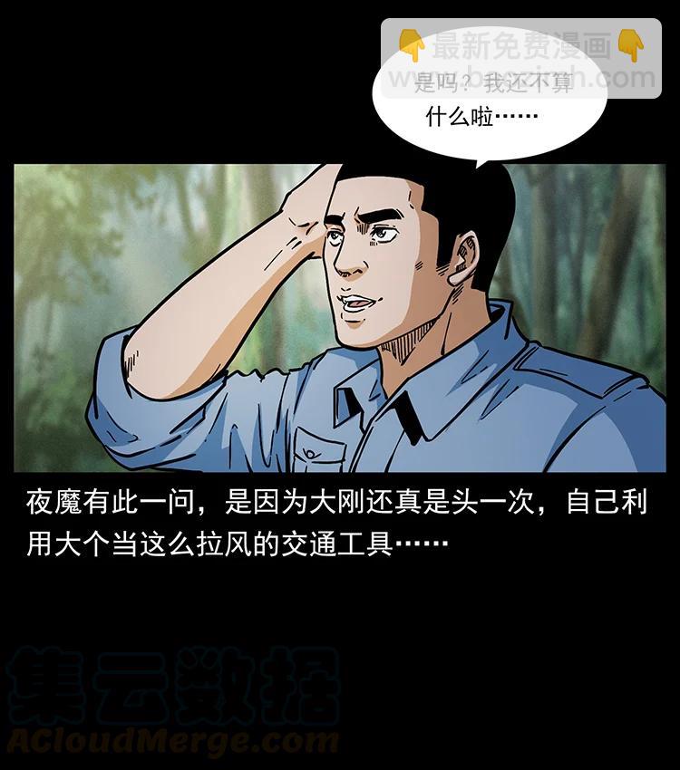 🍜幽冥诡匠 391 散仙 第13页