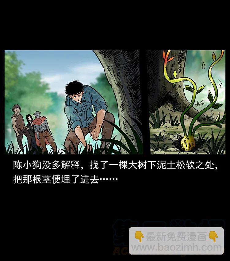 🍜幽冥诡匠 391 散仙 第28页