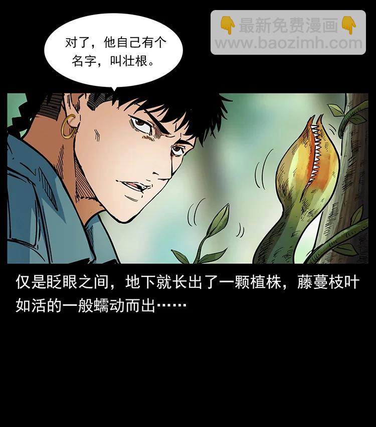 🍜幽冥诡匠 391 散仙 第29页