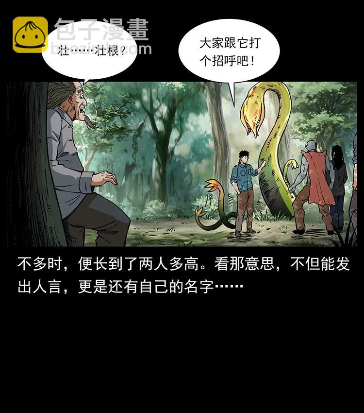 🍜幽冥诡匠 391 散仙 第30页