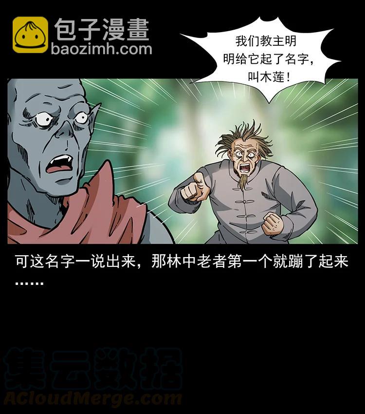 🍜幽冥诡匠 391 散仙 第31页