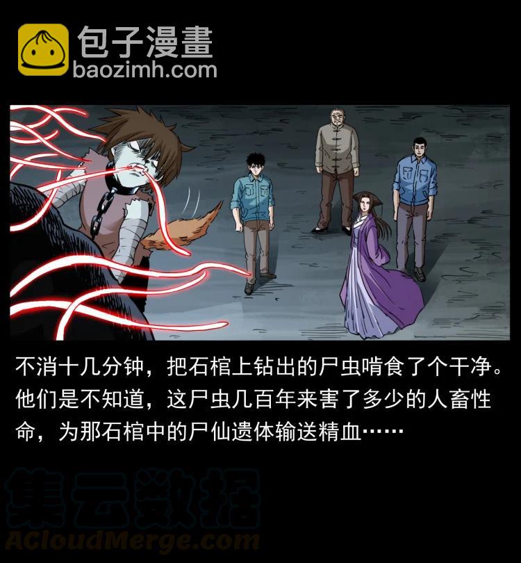 🍜幽冥诡匠 399 人之蛹 第28页