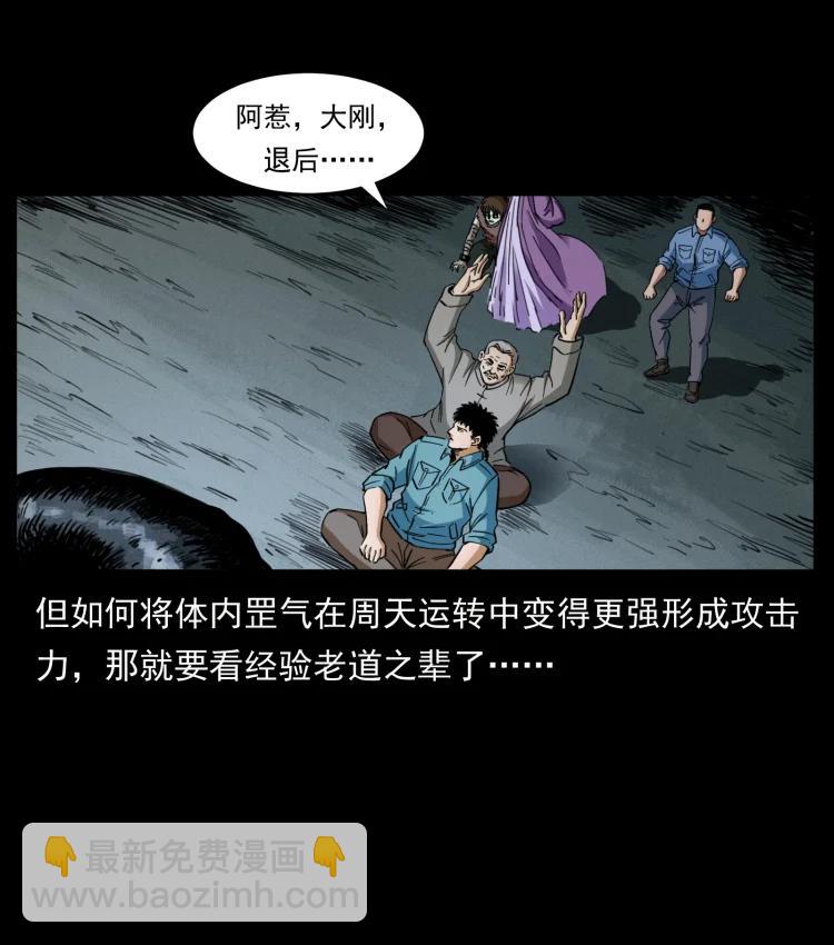 🍜幽冥诡匠 399 人之蛹 第47页