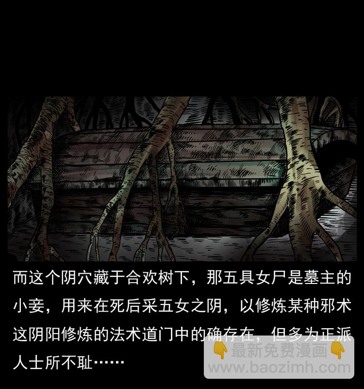 🍜幽冥诡匠 044 艳鬼 第30页