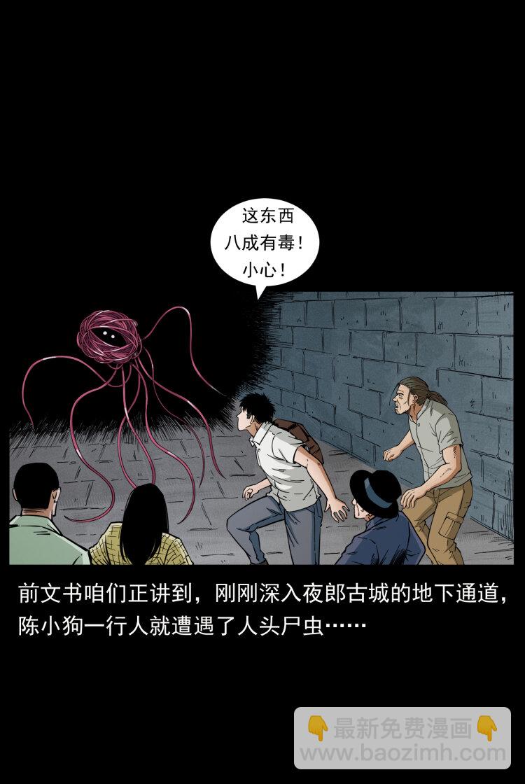 🍜幽冥诡匠 437 墓道凶灵 第2页