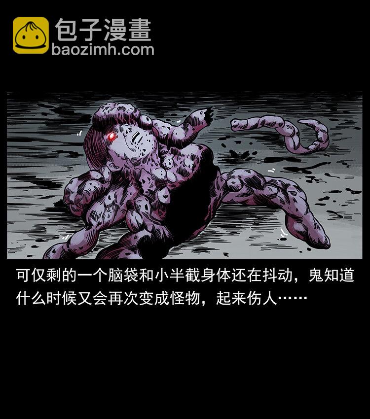 🍜幽冥诡匠 439 羽人通道 第3页