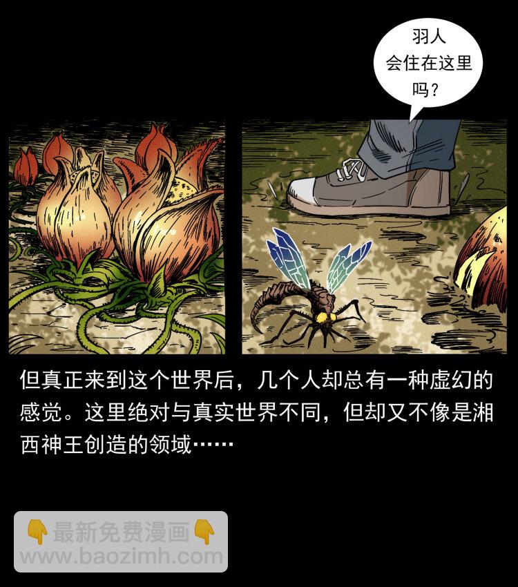 🍜幽冥诡匠 441 羽人之境 第3页