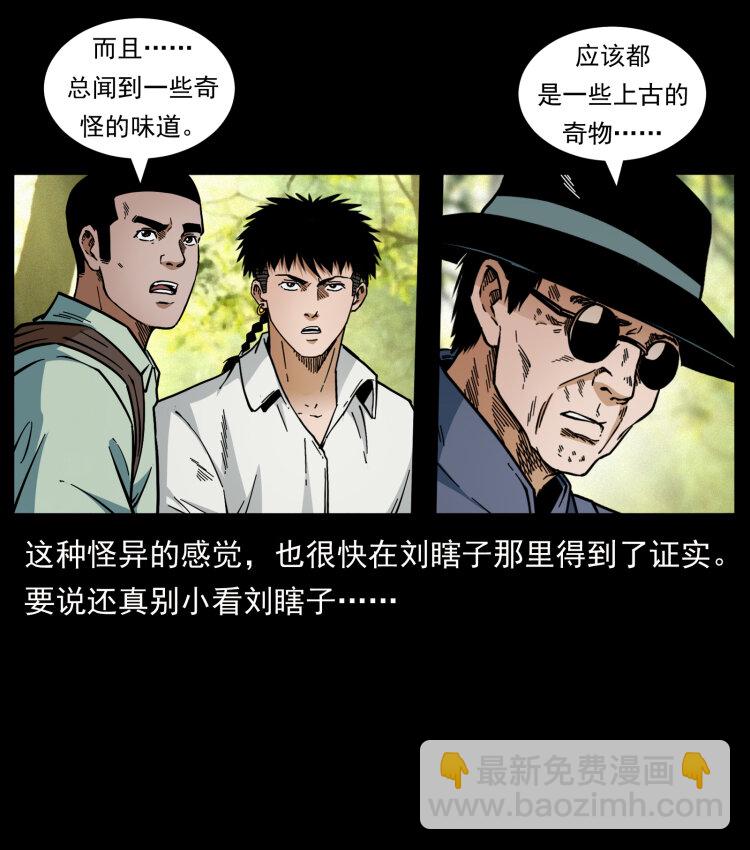 🍜幽冥诡匠 441 羽人之境 第9页