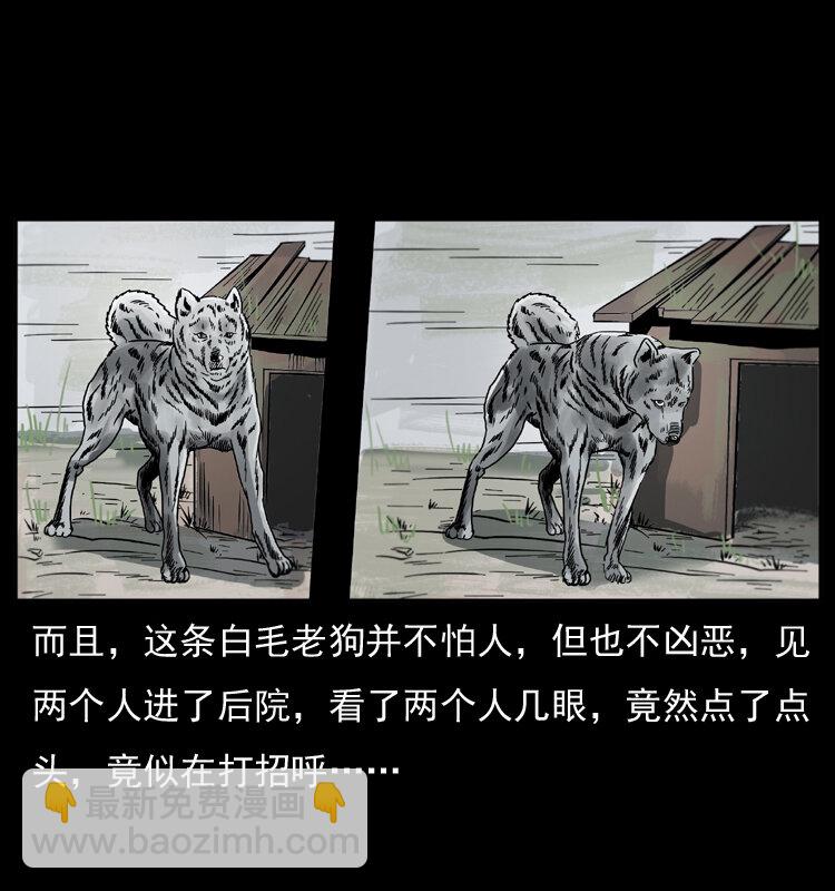 🍜幽冥诡匠 048 刨尸狗传奇1 第22页