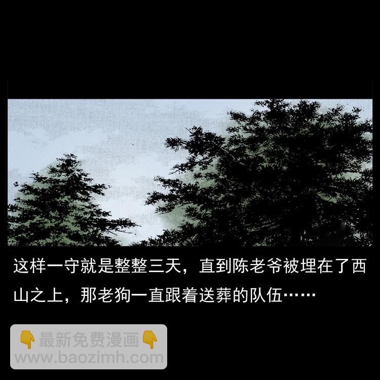 🍜幽冥诡匠 048 刨尸狗传奇1 第33页
