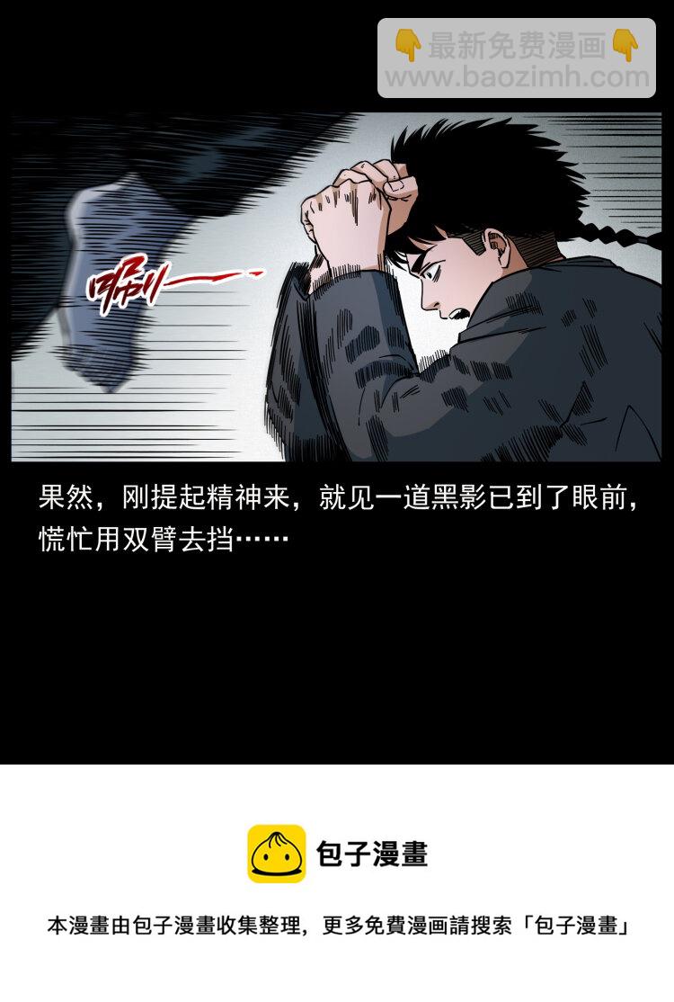 🍜幽冥诡匠 467 欢迎进入萨满世界 第13页