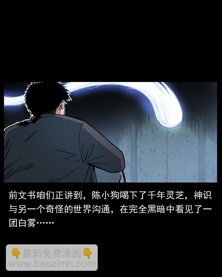 🍜幽冥诡匠 467 欢迎进入萨满世界 第2页