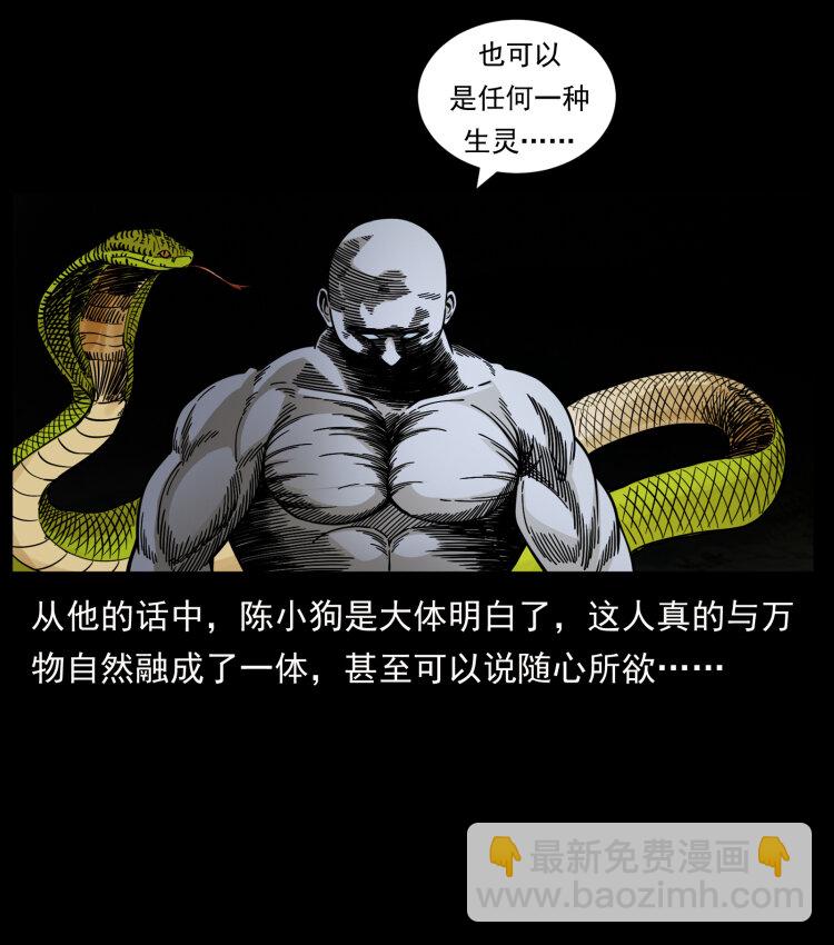 🍜幽冥诡匠 467 欢迎进入萨满世界 第42页