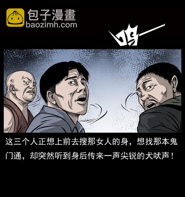 🍜幽冥诡匠 050 刨尸狗传奇3 第28页
