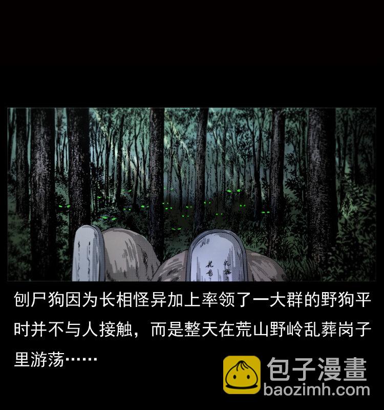 🍜幽冥诡匠 050 刨尸狗传奇3 第3页