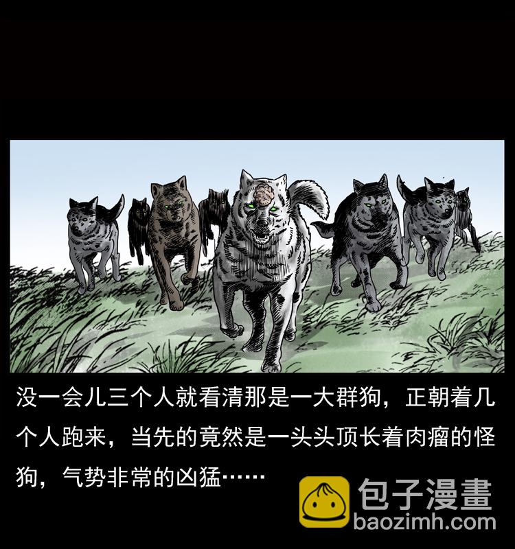 🍜幽冥诡匠 050 刨尸狗传奇3 第30页