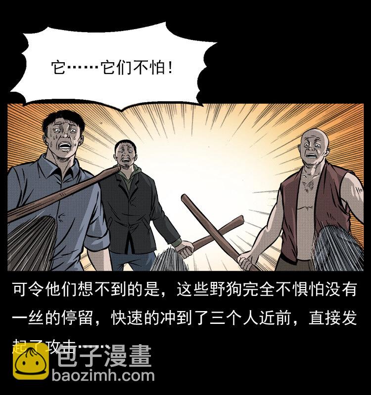 🍜幽冥诡匠 050 刨尸狗传奇3 第32页