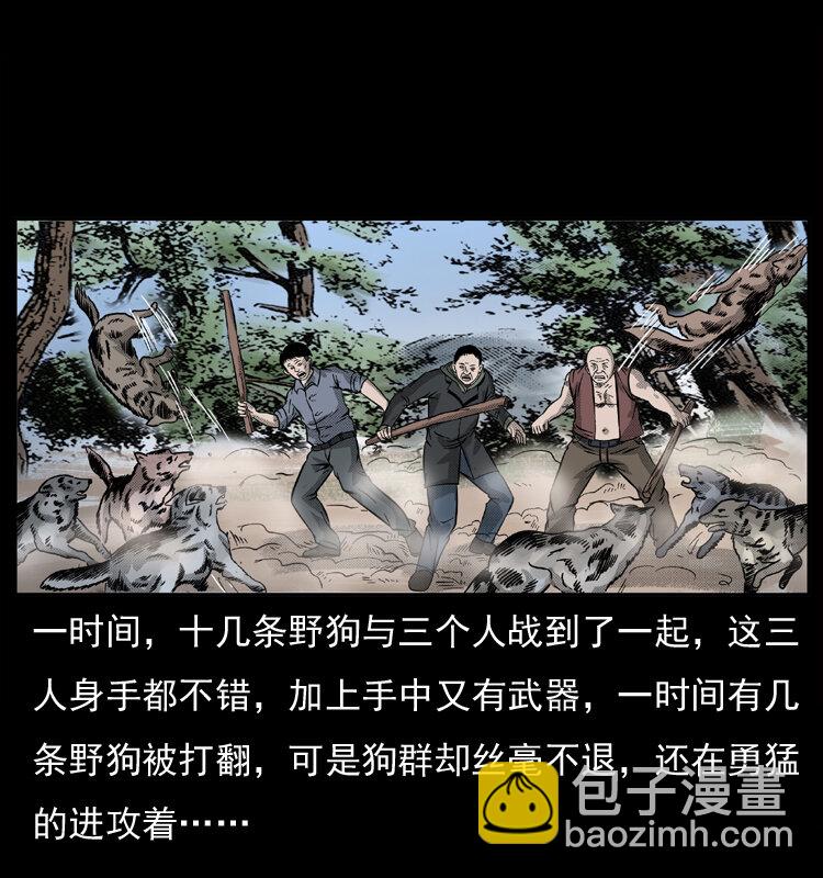 🍜幽冥诡匠 050 刨尸狗传奇3 第34页