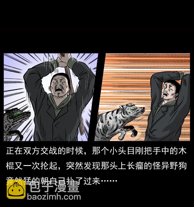 🍜幽冥诡匠 050 刨尸狗传奇3 第35页