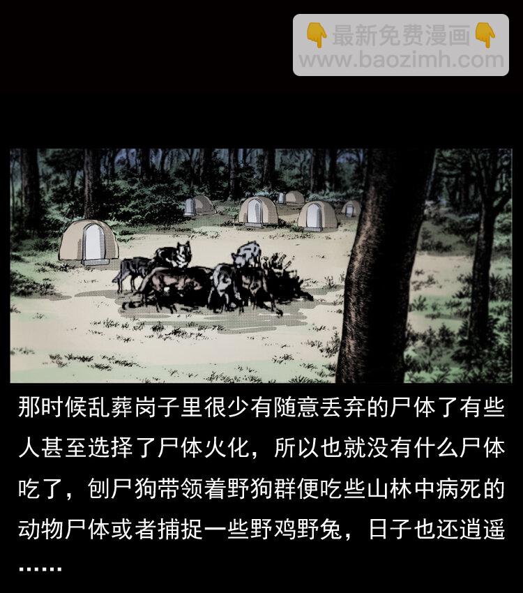 🍜幽冥诡匠 050 刨尸狗传奇3 第4页