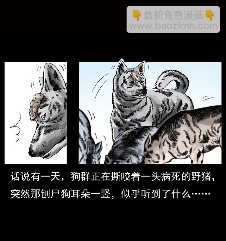 🍜幽冥诡匠 050 刨尸狗传奇3 第5页