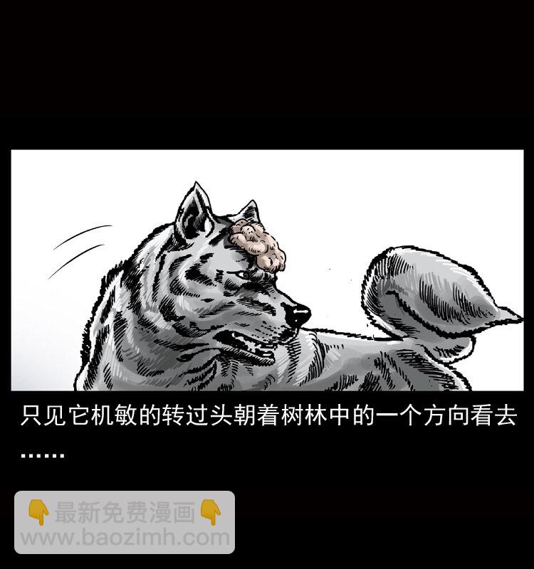 🍜幽冥诡匠 050 刨尸狗传奇3 第6页