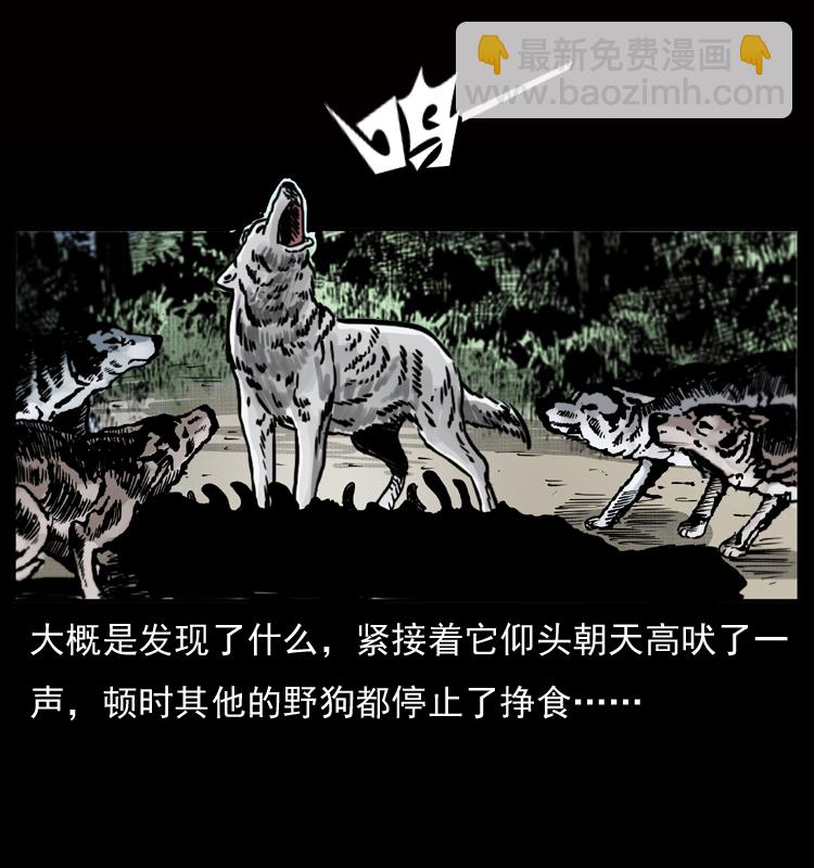 🍜幽冥诡匠 050 刨尸狗传奇3 第7页