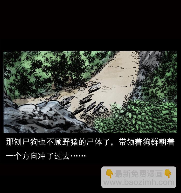 🍜幽冥诡匠 050 刨尸狗传奇3 第8页