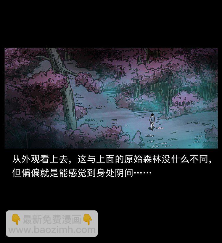 🍜幽冥诡匠 489 劫难一重重 第43页