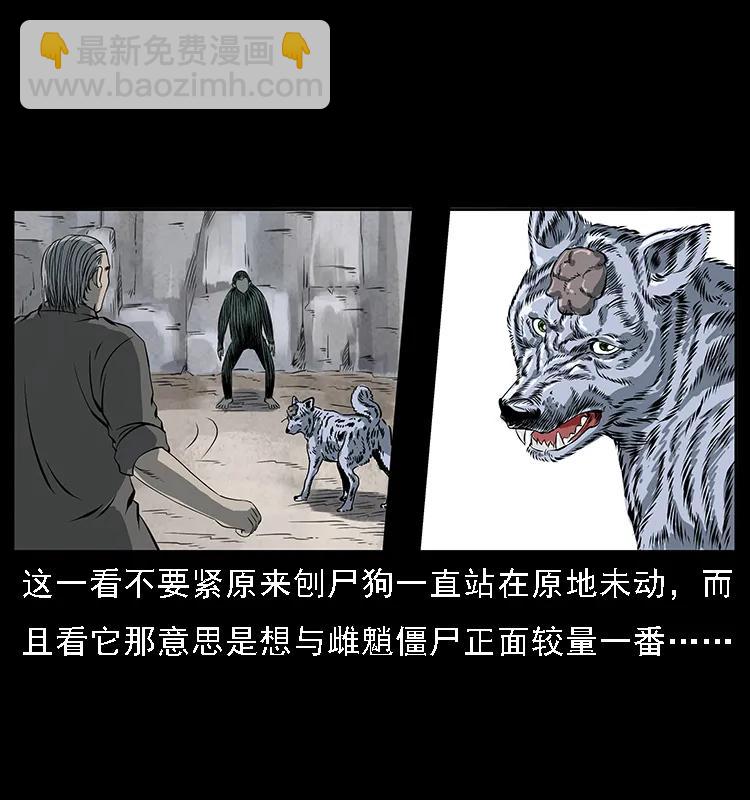🍜幽冥诡匠 083 鬼面魈 第40页
