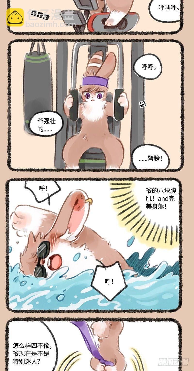 🍜有兽焉 帅气兔兔，在线健身 第4页