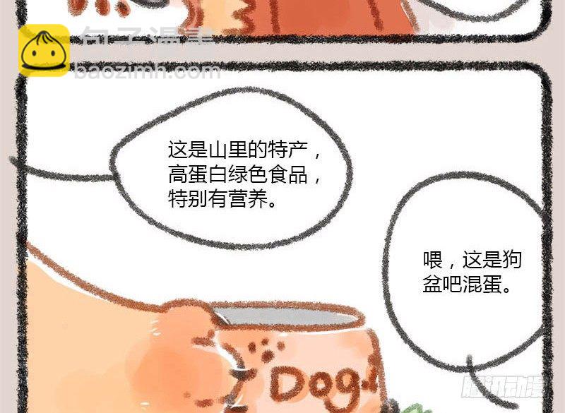 🍜有兽焉 有朋自远方来，不亦招呼 第17页