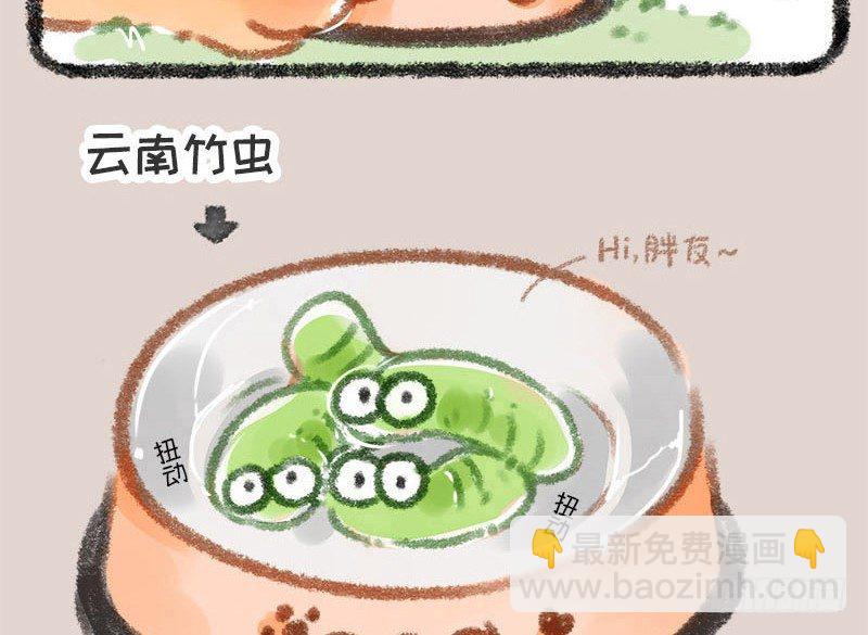 🍜有兽焉 有朋自远方来，不亦招呼 第18页