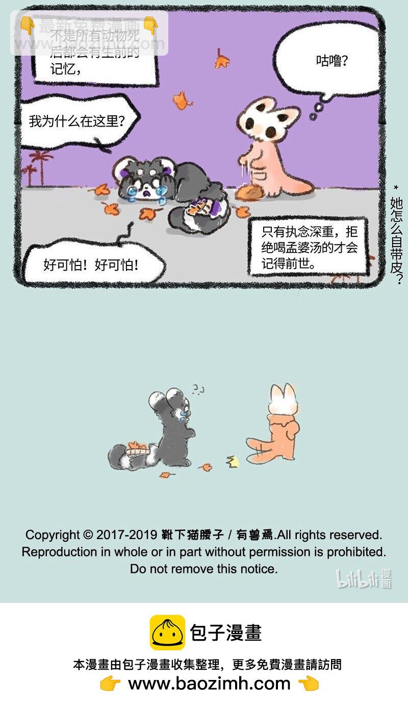🍜有兽焉 257 骷髅猫的熟人 第7页