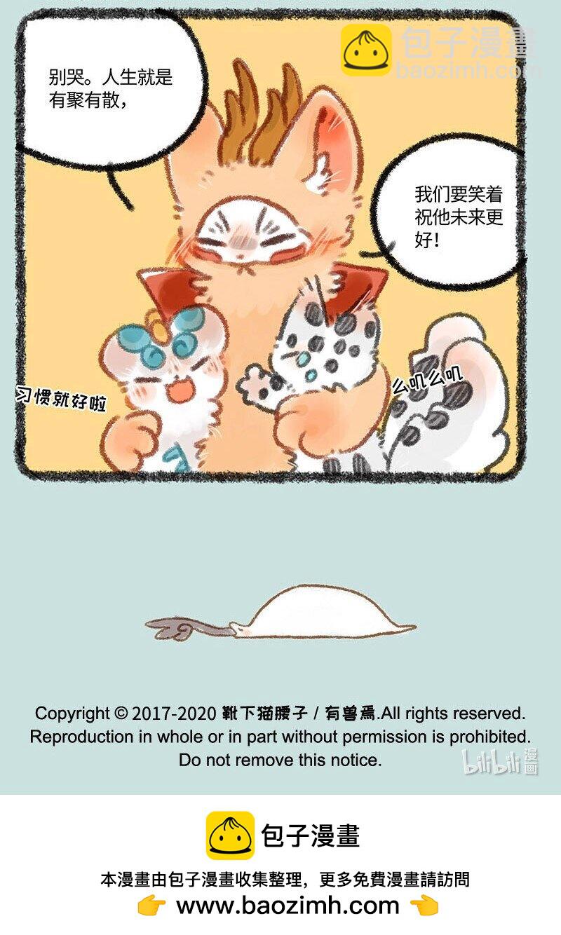 🍜有兽焉 322 长大终离家 第7页