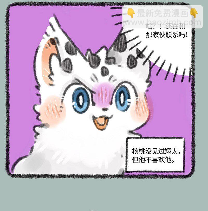 🍜有兽焉 352 核桃的危机感 第4页