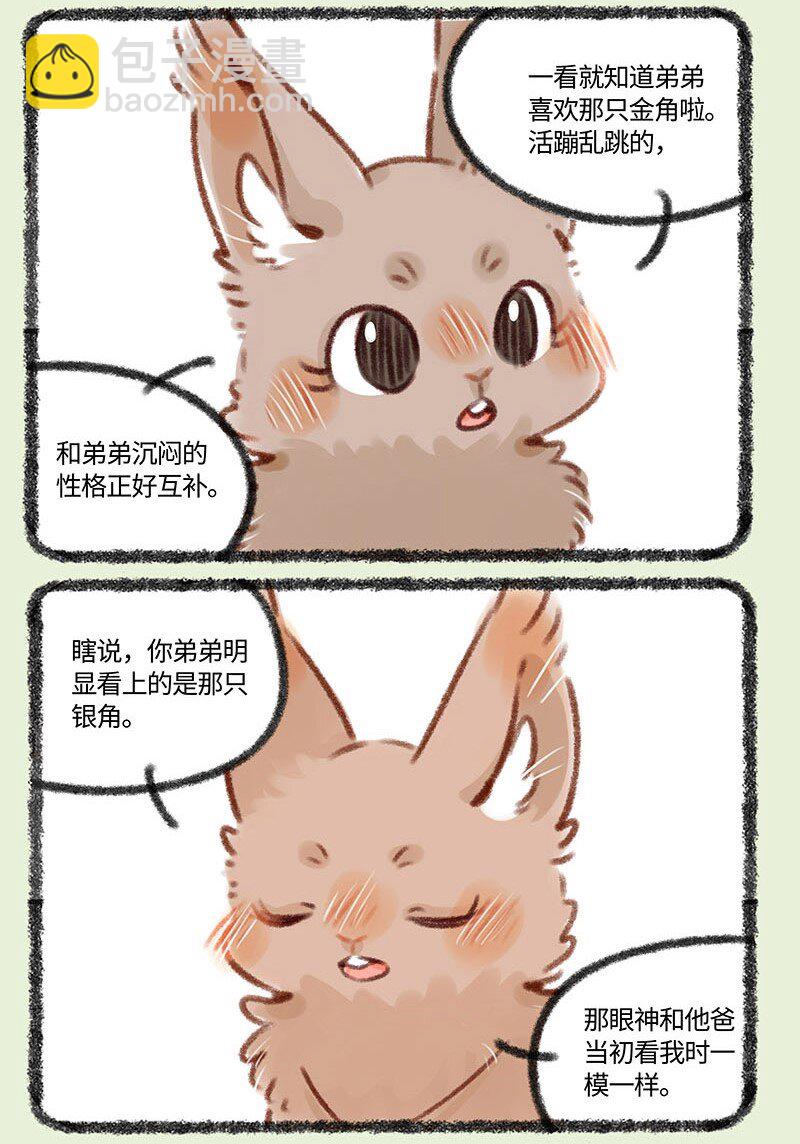 🍜有兽焉 374 相亲 第6页