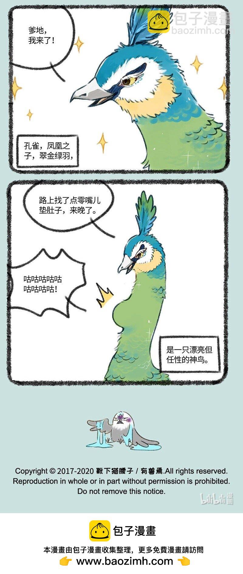 🍜有兽焉 402 孔雀来访 第6页