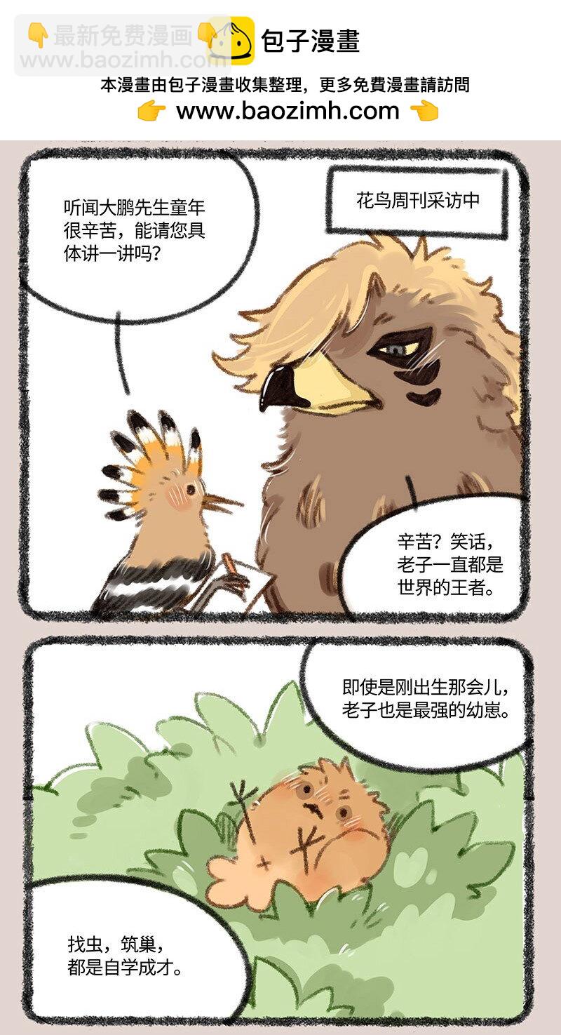 🍜有兽焉 410 金翅大鹏和孔雀 第2页