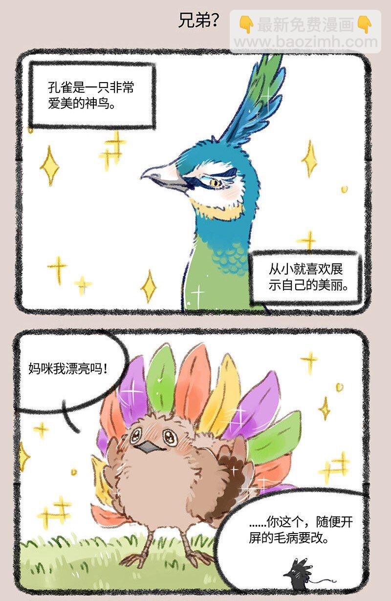 🍜有兽焉 410 金翅大鹏和孔雀 第5页