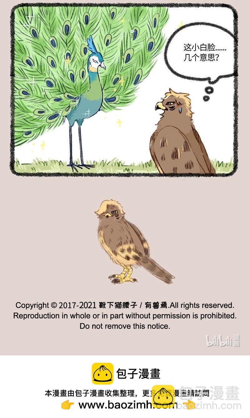 🍜有兽焉 410 金翅大鹏和孔雀 第7页