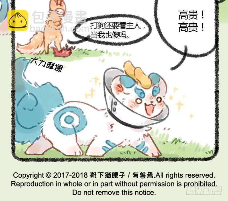 🍜有兽焉 连法宝都有对象，你呢？ 第11页