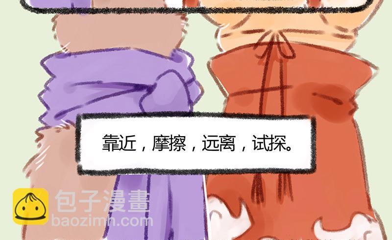 🍜有兽焉 连法宝都有对象，你呢？ 第5页