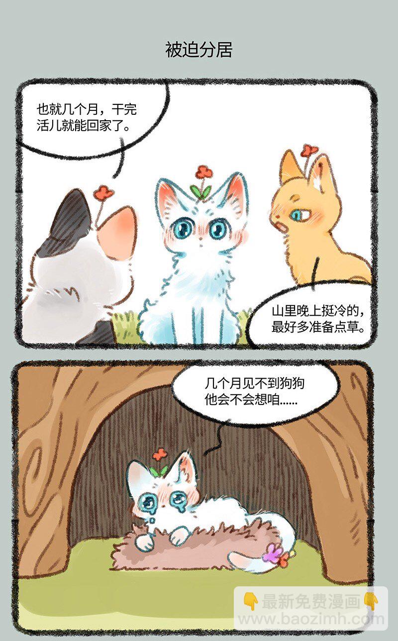 🍜有兽焉 439 被迫分居 第5页