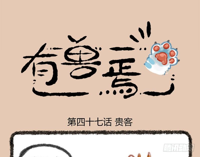 🍜有兽焉 神兽界的超级明星出现！ 第1页