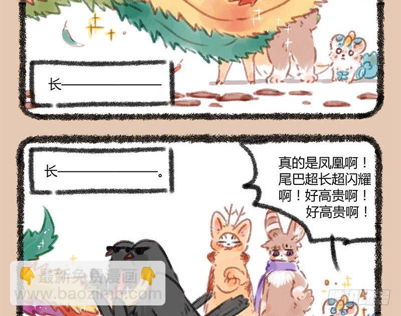 🍜有兽焉 神兽界的超级明星出现！ 第11页