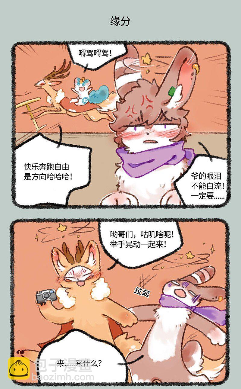 🍜有兽焉 515 有缘千里来相会 第5页