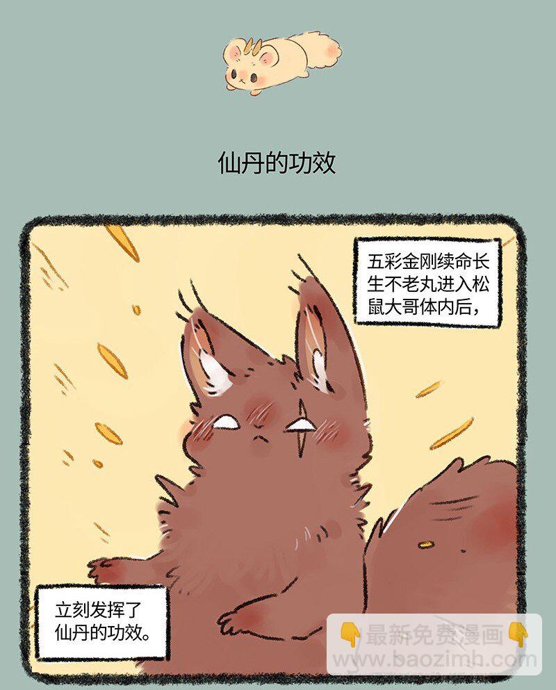 🍜有兽焉 576 归来吧！金角银角 第4页