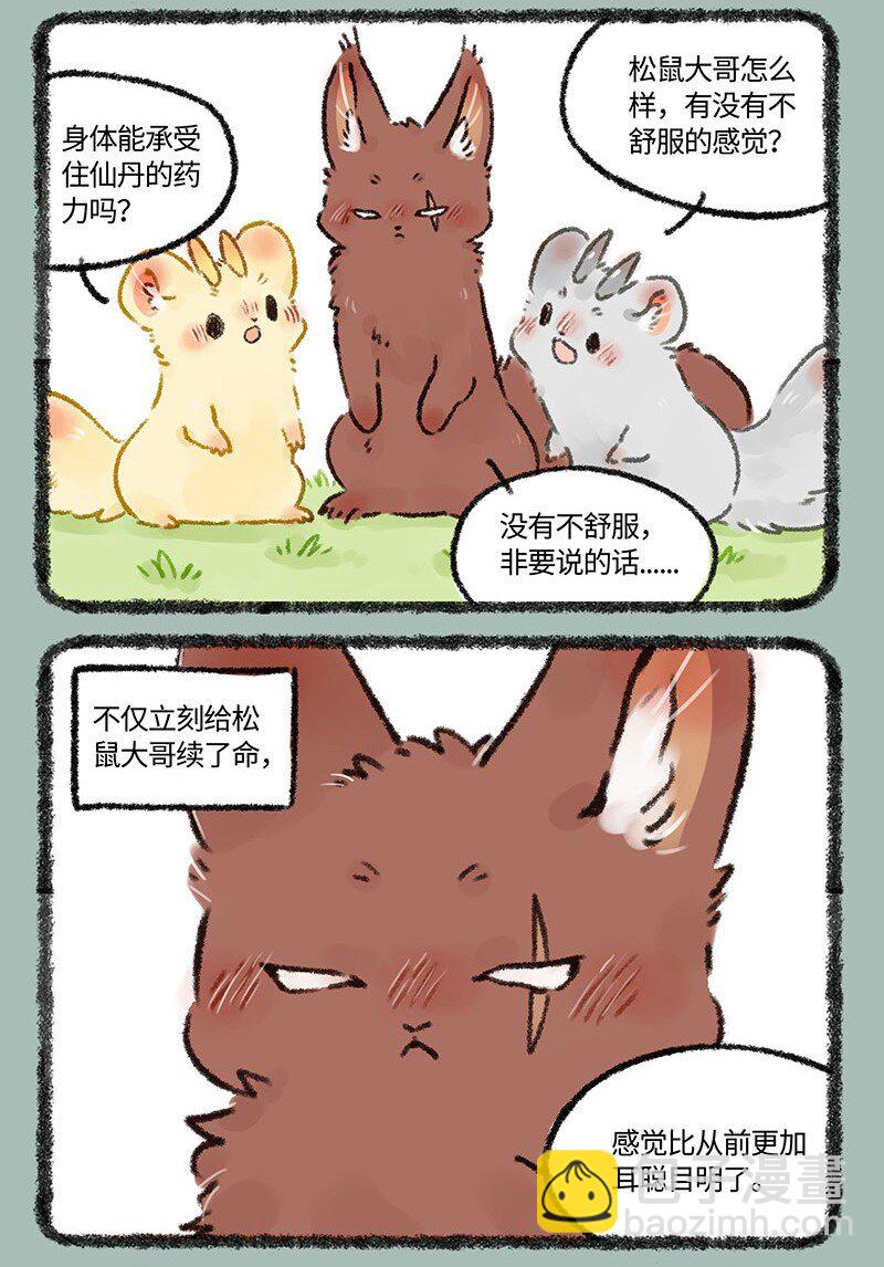 🍜有兽焉 576 归来吧！金角银角 第5页